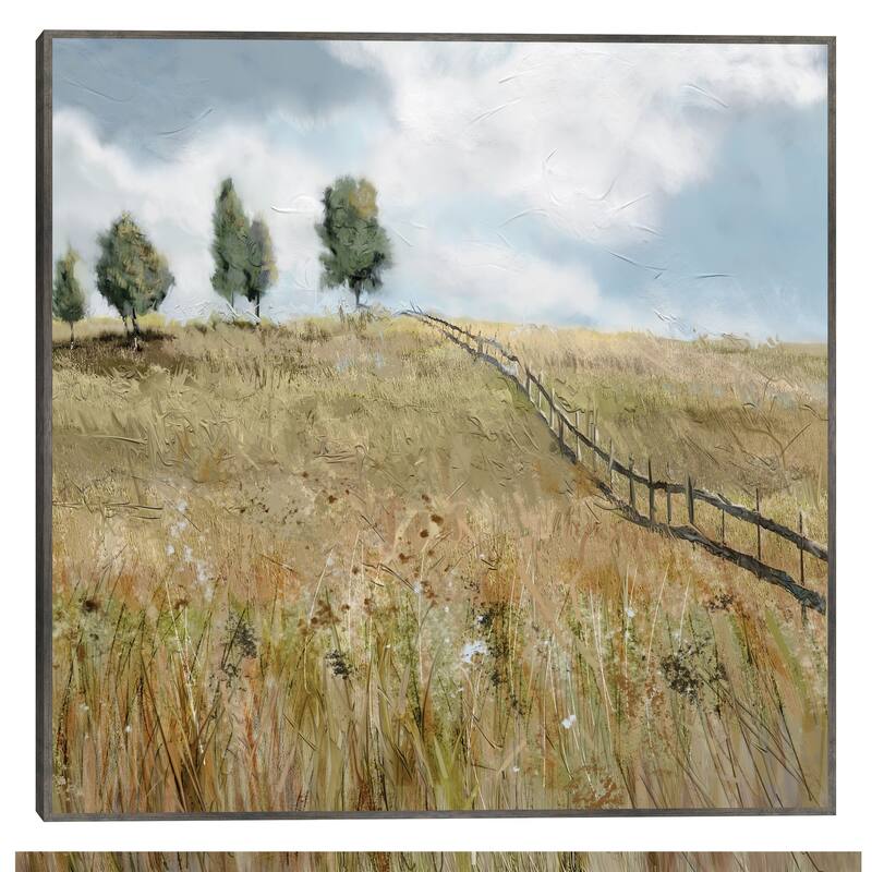 Field of Dreams By Studio Arts Canvas Art Print