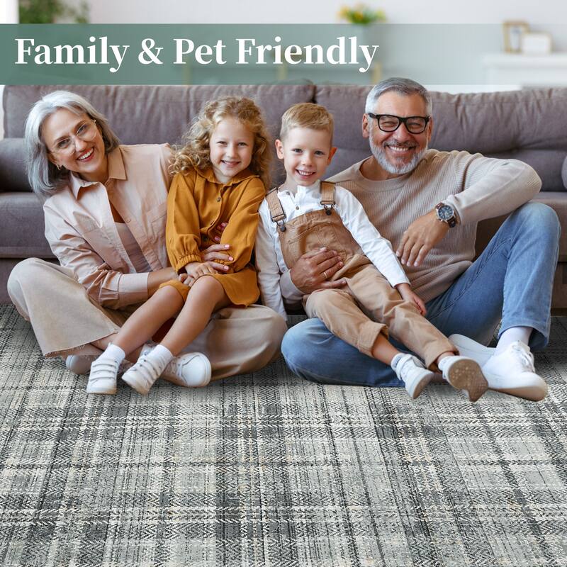 Washable Area Rugs for Living Room Bedroom Modern Plaid Rug Soft Non Slip Low Pile Farmhouse Geometric Rug