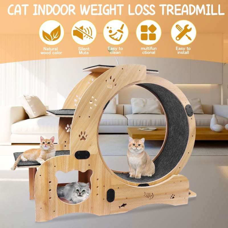 Large 4-in-1 Cat Wheel Exerciser Cat Treadmill with Silent Wheel - Natural Wood - large