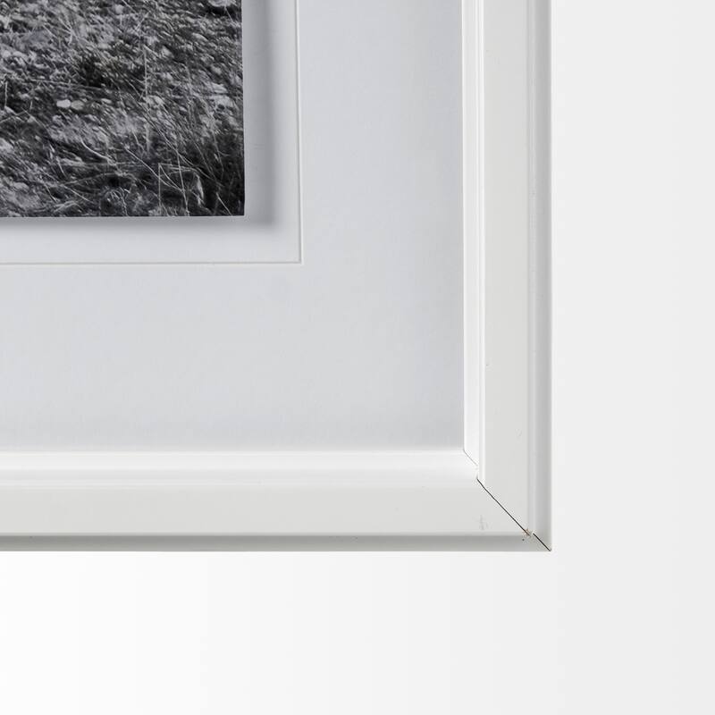 Horse 2 Framed Art Print