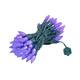 Option Purple