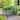Outsunny 3.3' Classic Garden Metal Bridge with Safety Railings Arc Footbridge Decorative Pond Bridge