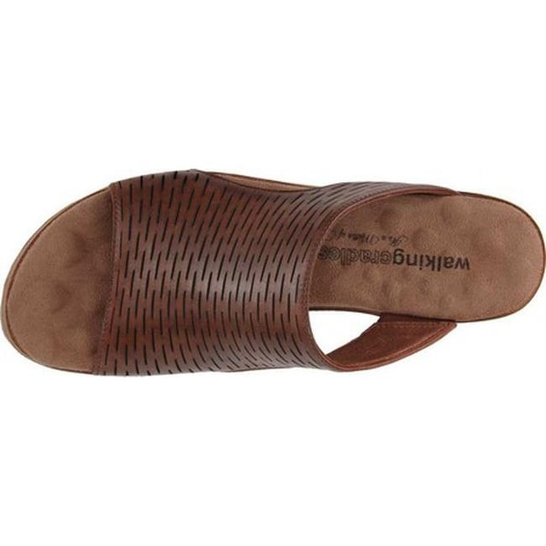 walking cradles hartford