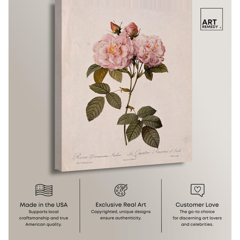 Damask Rose Canvas by Art Remedy, Gallery Wrapped