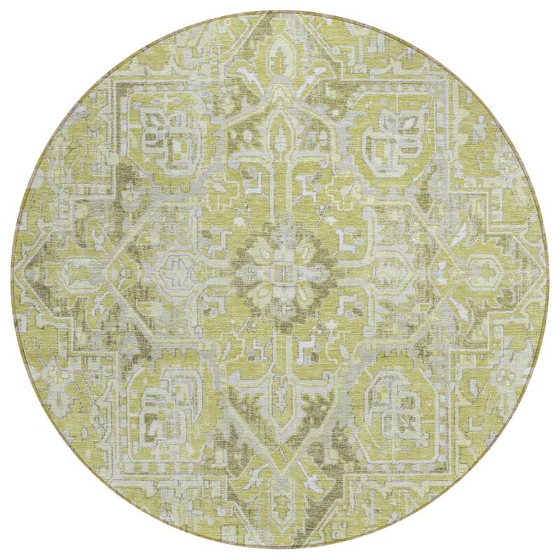Machine Washable Indoor/ Outdoor Traditional Boho Chantille Rug