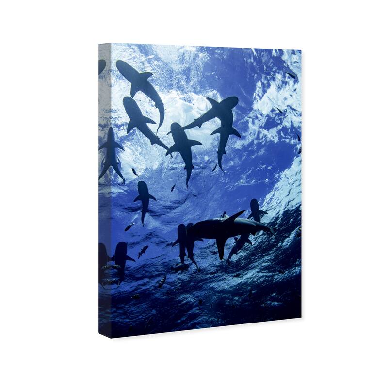 Wynwood Studio Canvas Animals David Fleetham - Blacktip Reef Shark II Blue and Nautical & Coastal Wall Art Canvas Print