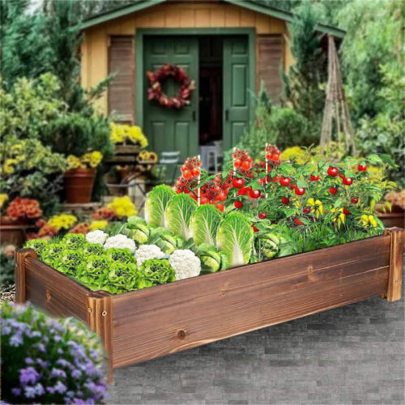 Carbonized Wood Raised Garden Bed Kit Elevated Planter Box For Growing - 26x13x6 inch