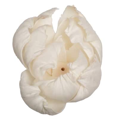 Vickerman Natural Botanicals 1.6"/2.4"/3.2" 1-3" Assorted Peony Sola Head 24/bag. - 1.6"