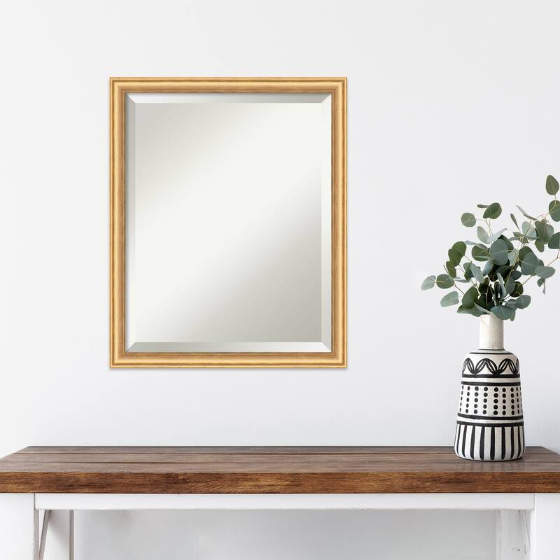 Salon Scoop Beveled Wood Framed Wall Mirror