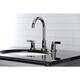 Option Polished Nickel