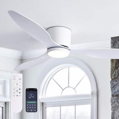 52 in. Sleek Ceiling Fan with Lights - Quiet Reversible DC Motor, Smart Control