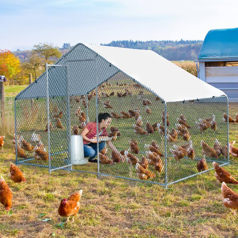Large 6.5 x 10 ft Metal Chicken Coop, Waterproof Cage for Backyard