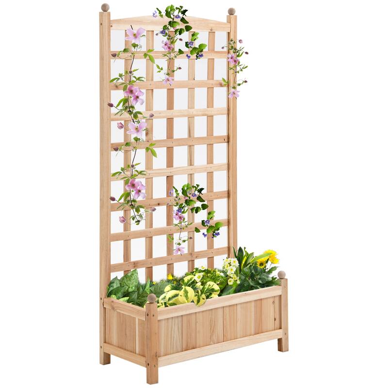 Outdoor Raised Planter Box with Trellis and Drainage for Healthy Plant