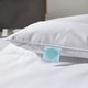 preview thumbnail 4 of 3, Martha Stewart 300 Thread Count White Down Comforter