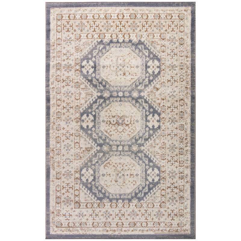 Fijoc Distressed Geometric Area Rug By HomeRoots - 4' x 6'