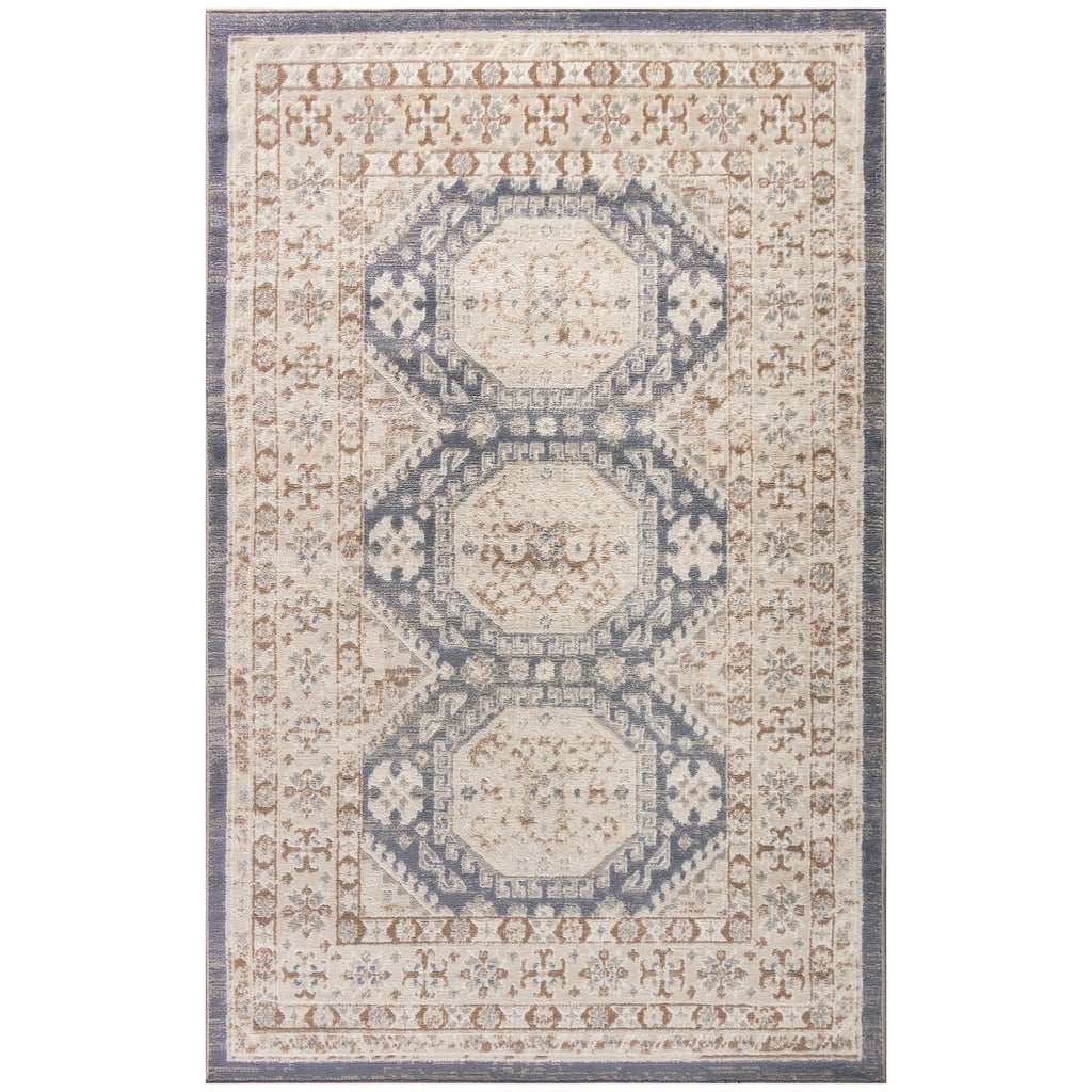 Fijoc Distressed Geometric Area Rug By HomeRoots - 4' x 6'