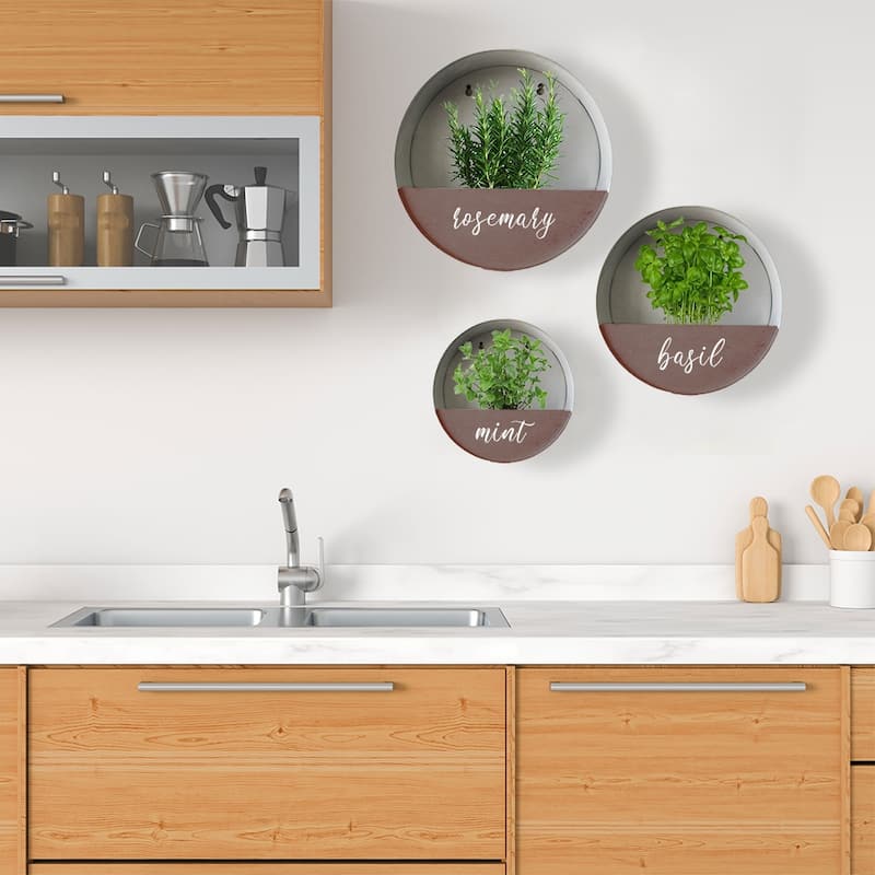 Modern Home Round Living Wall Mounted Galvanized Steel/Zinc Succulent/Herb Planter - Indoor/Outdoor Living Art Potting Vessel