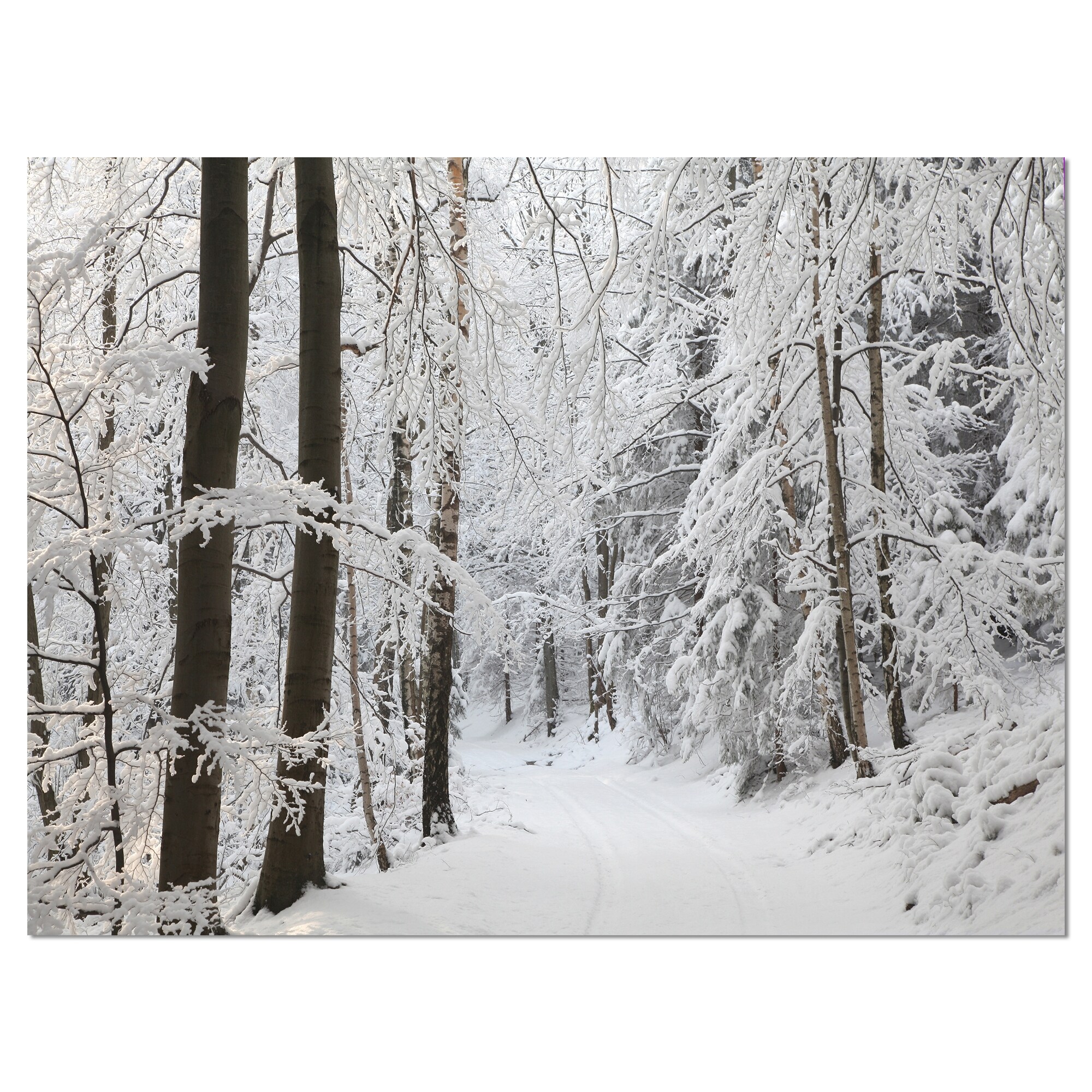 Designart - Parkland Trails Photography Canvas Art Print - Yellow - 40 in. Wide x 30 in. High