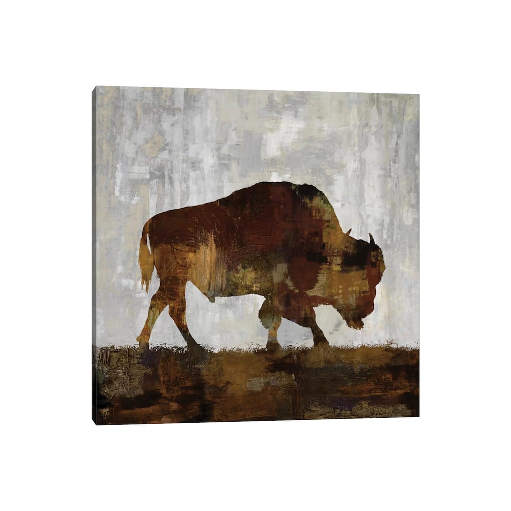 iCanvas "Bison" by Carl Colburn Canvas Print