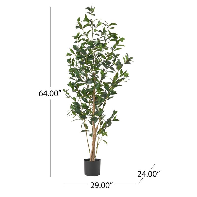 Atoka 5.5' x 2' Artificial Laurel Tree by Christopher Knight Home