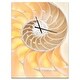 preview thumbnail 2 of 9, Designart 'Golden Nautilus Shell Pattern' Oversized Coastal Wall CLock
