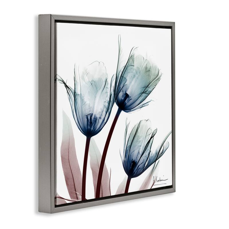 Stupell Translucent Tulip Bulbs Framed Floater Canvas Wall Art Design By Albert Koetsier