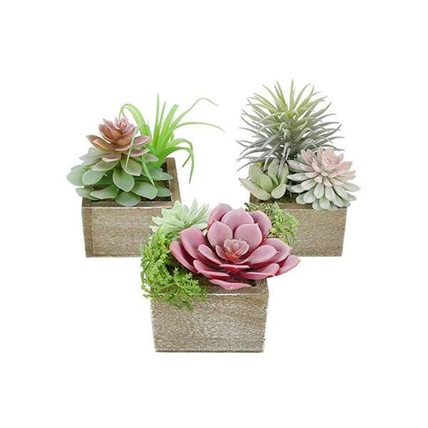 3 Assorted Succulents Fake Artificial Plants Bed Bath & Beyond 38295404