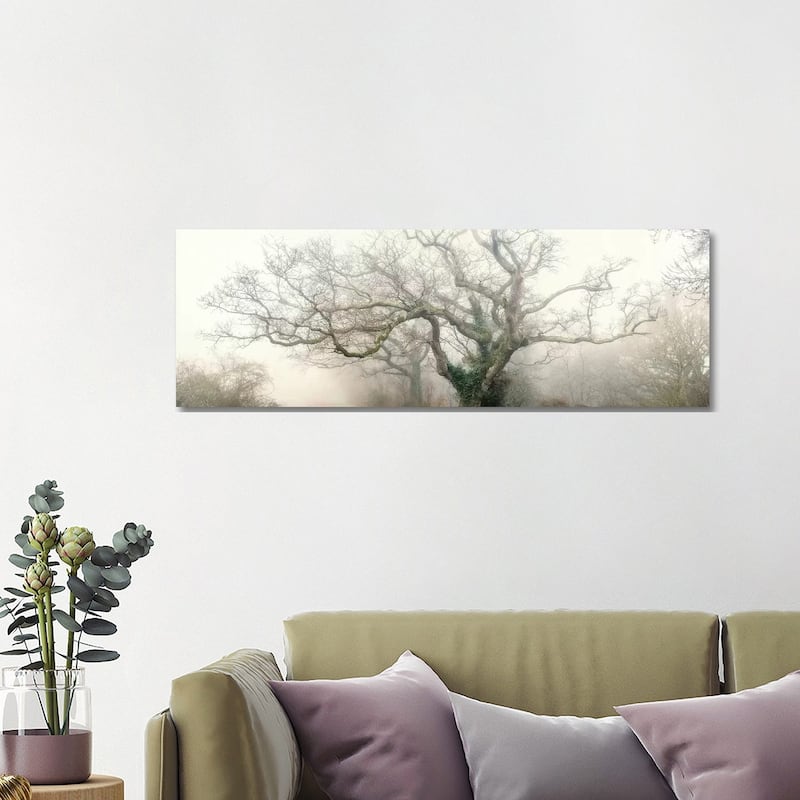 iCanvas "Panoramic Octopus Ghost Oak" by Philippe Manguin Canvas Print - 16x48x1.5