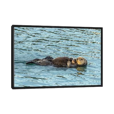 iCanvas "Usa, California, San Luis Obispo County. Sea Otter Mom And Pup." by Jaynes Gallery Framed