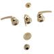 Option Polished Brass