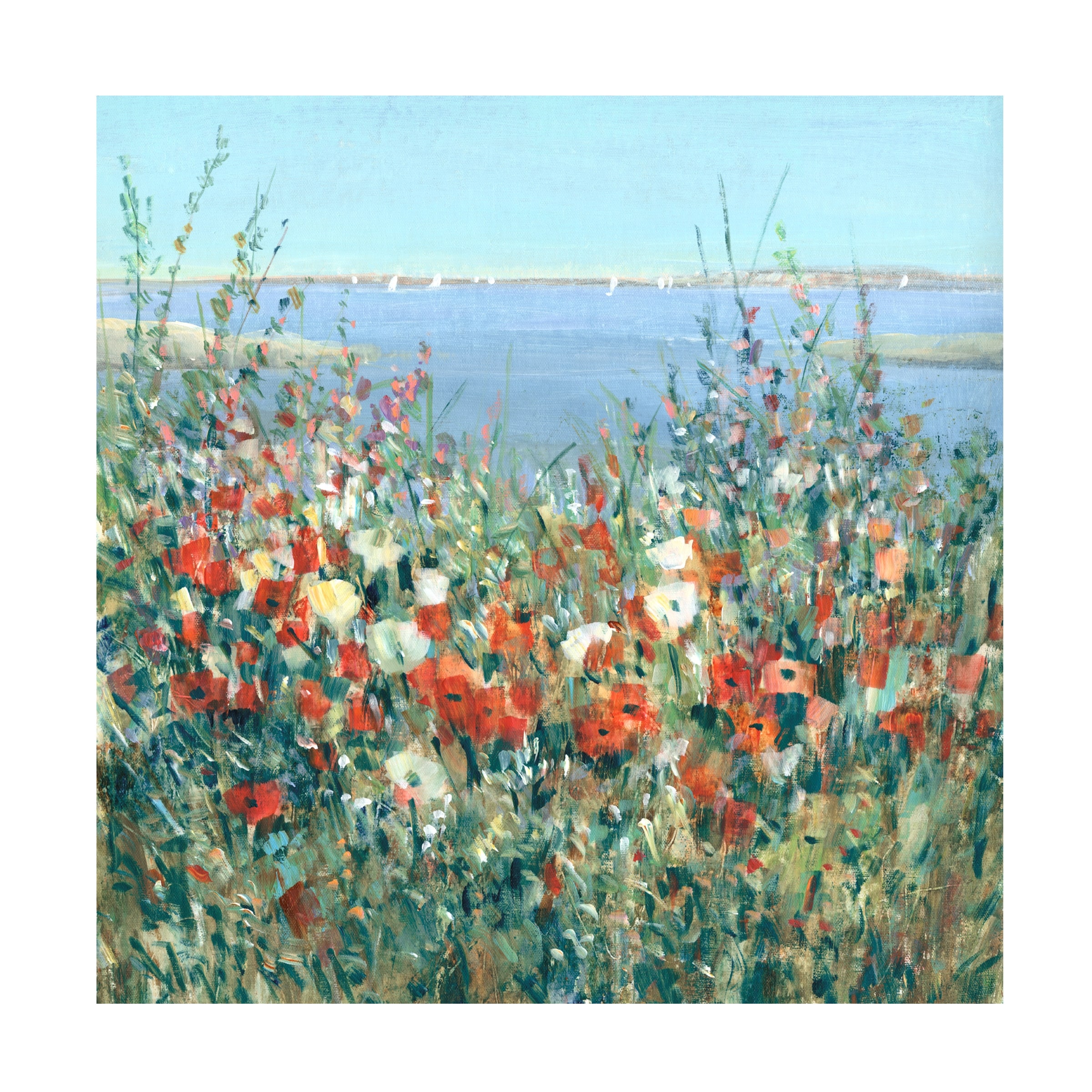 Tim OToole 'Seaside Garden II' Canvas Art