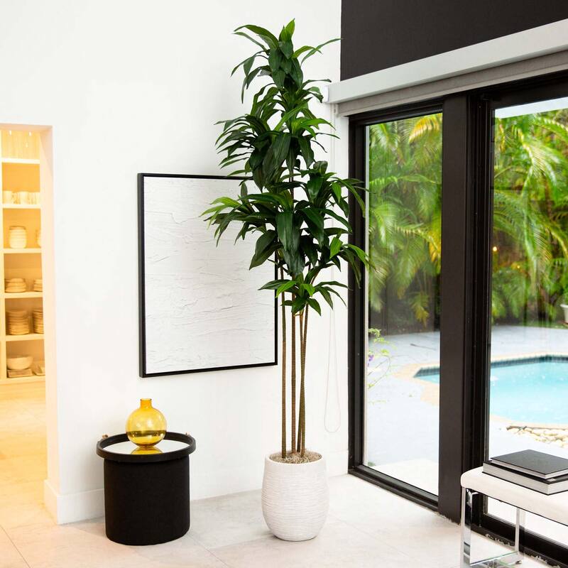 9' Artificial Dracaena Tree with Real Touch Leaves - Green