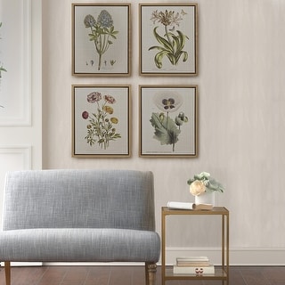 Martha Stewart Herbal Botany 4-piece Botanical Illustration Framed Canvas Wall Art Set - Green