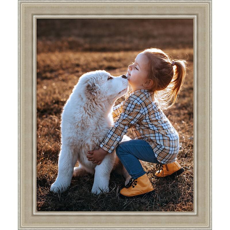 Mezzo Silver Framed Picture Frame, Photo Frame - 18x22