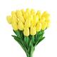 Option Yellow