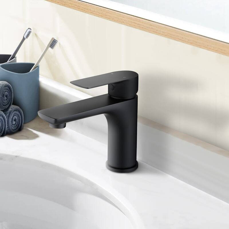 Topcraft Single Handle Stainless Steel Bathroom Sink Faucet