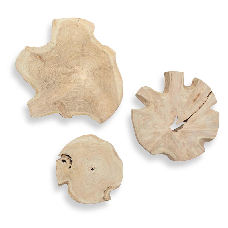 Uttermost 04392 Kalani 20" Tall Teak Wood Botanical Wall Art Set of 3 - Bleached Teak