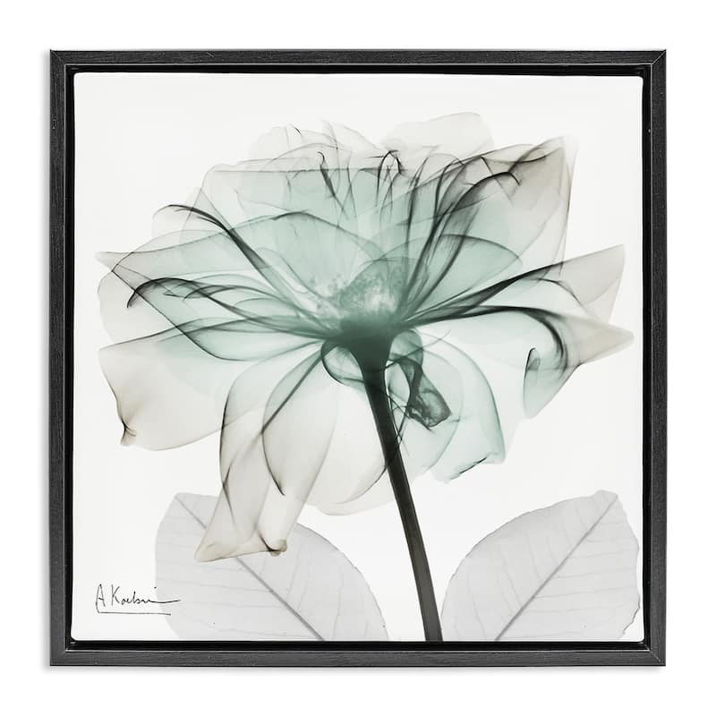 Stupell Unique Chic Flower Petal Framed Floater Canvas Wall Art Design By Albert Koetsier - 18 x 18 - Black