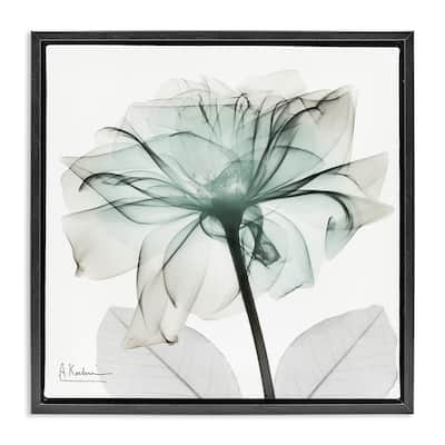 Stupell Unique Chic Flower Petal Framed Floater Canvas Wall Art Design By Albert Koetsier