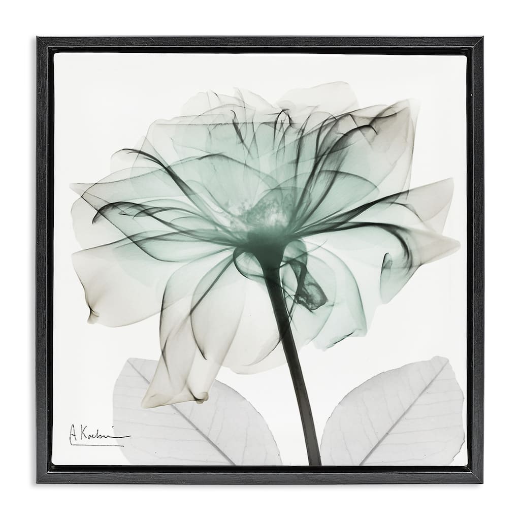 Stupell Unique Chic Flower Petal Framed Floater Canvas Wall Art Design By Albert Koetsier