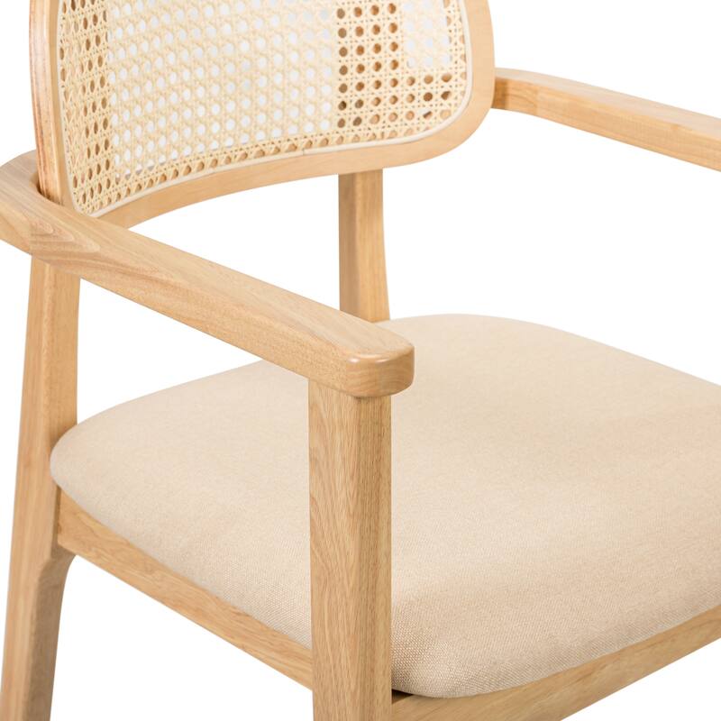 Christopher Knight Home - Sorin Modern Rattan and Upholstered Indoor Dining Chair with Armrest - Set of 2