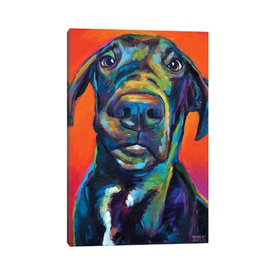 iCanvas "Great Dane I" by Robert Phelps Canvas Print