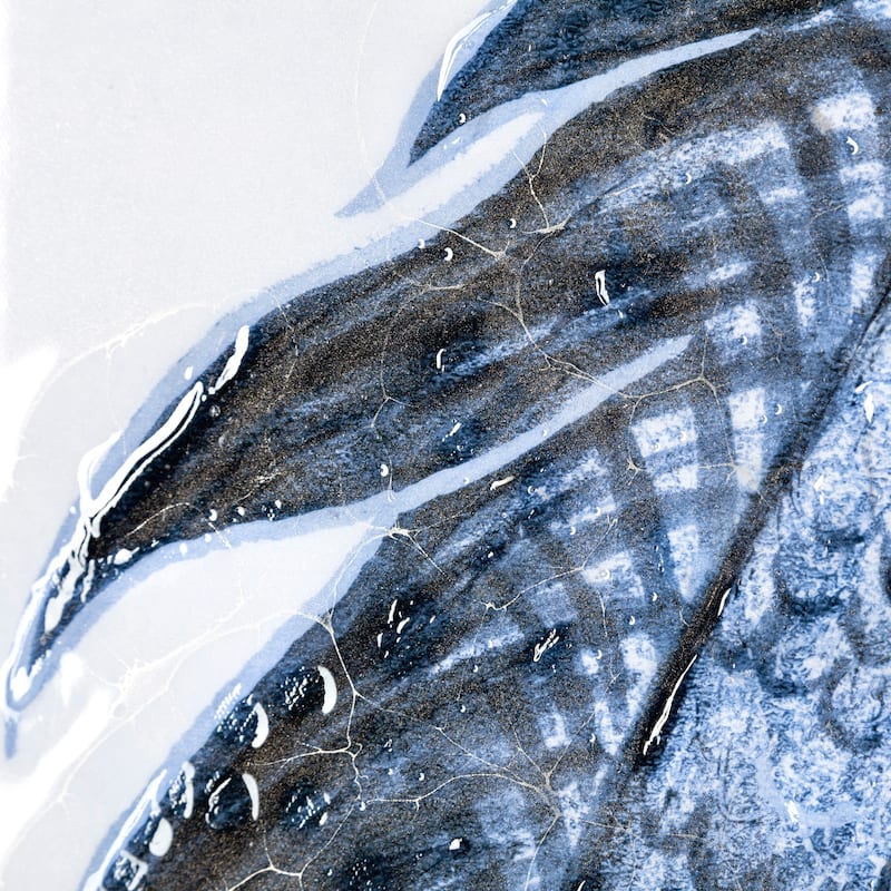 Koi Fish Blue I (30 x 40) Canvas Art Print