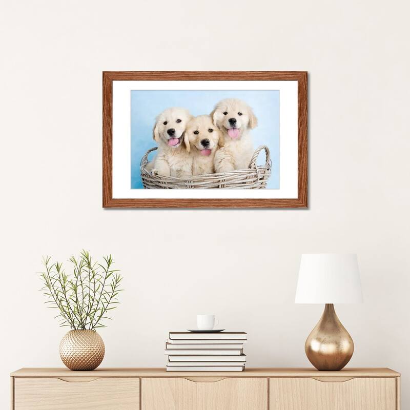 iCanvas "Buffy, Biskit, And Beau" by Rachael Hale