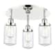 Option Clear / Polished Nickel
