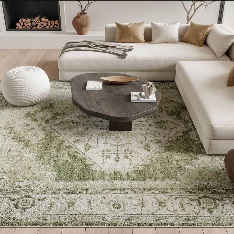 Nourison Astra Machine Washable Distressed Area Rug