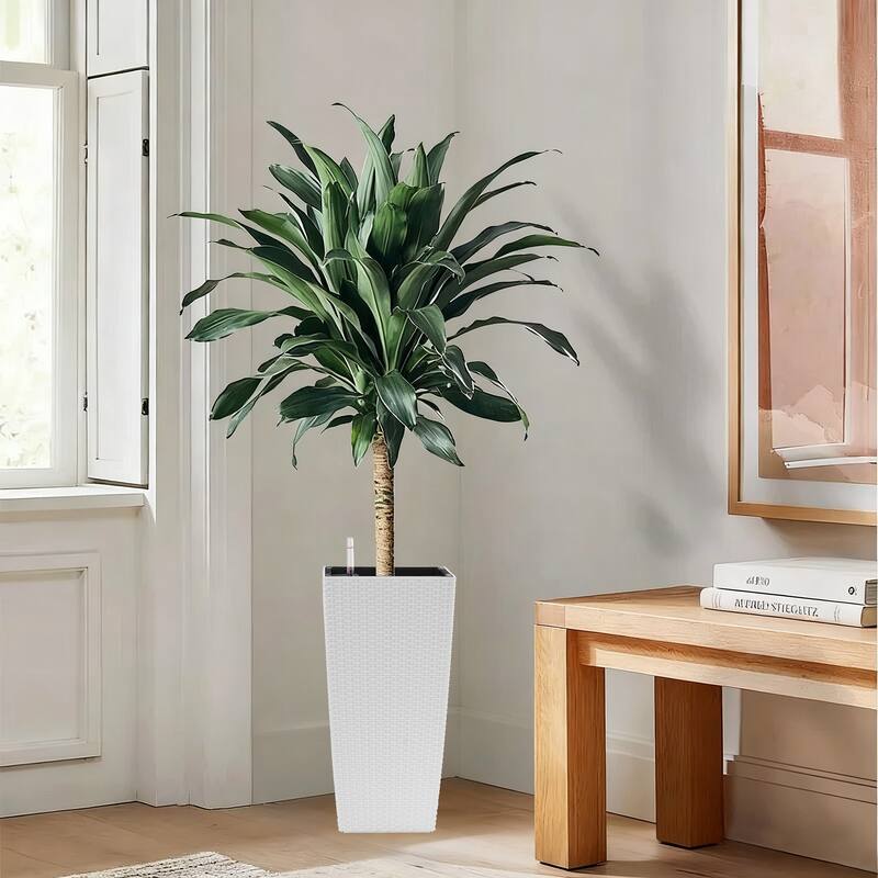 Square Planter Pack of 2, Faux Rattan Flower Pot with Automatic Watering System - White