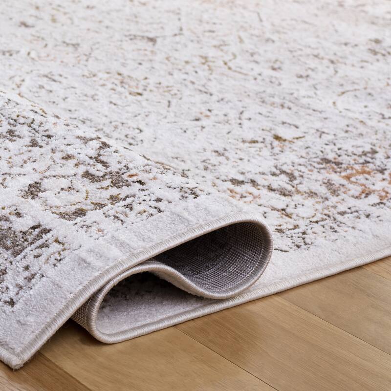 SAFAVIEH Leonette Saaskia Vintage Distressed Rug