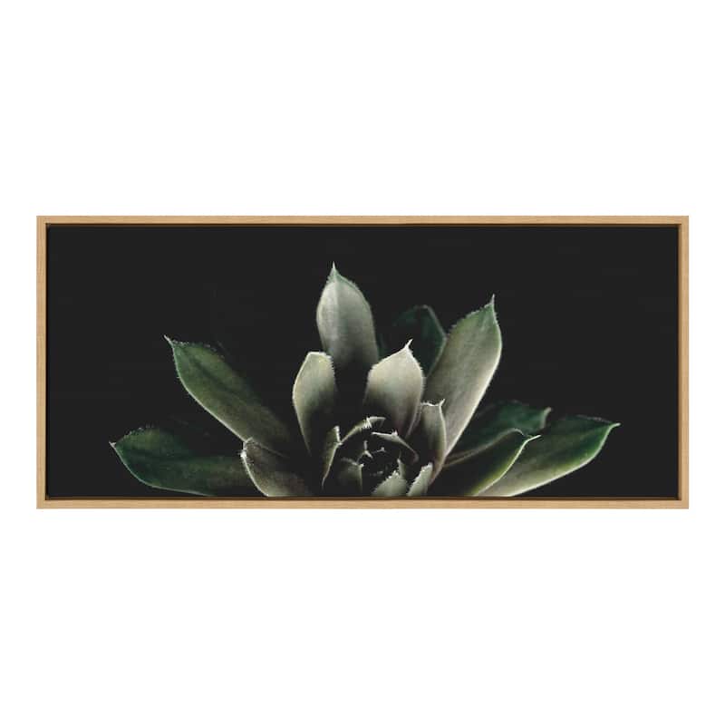 Kate and Laurel Sylvie Succulent by Emiko and Mark Franzen of F2Images