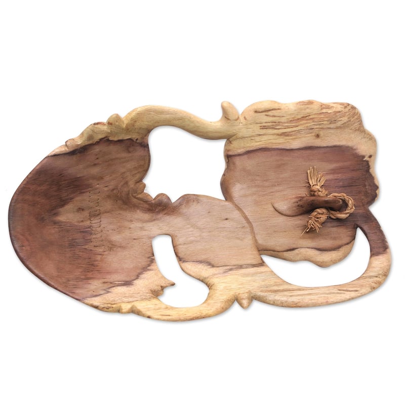 Novica Handmade One With Nature Wood Mask